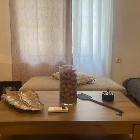Apartamento Cozy διαμερισμα με πάρκινγκ και Bbq κοντά στα καμένα βούρλα *